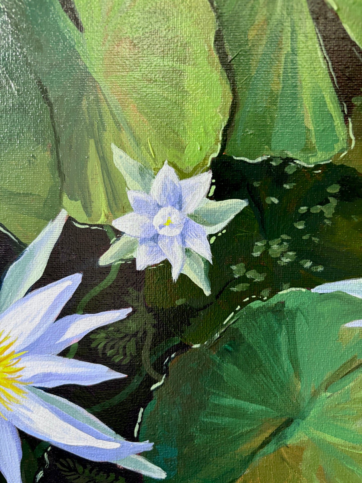 Hymn of the water lilies