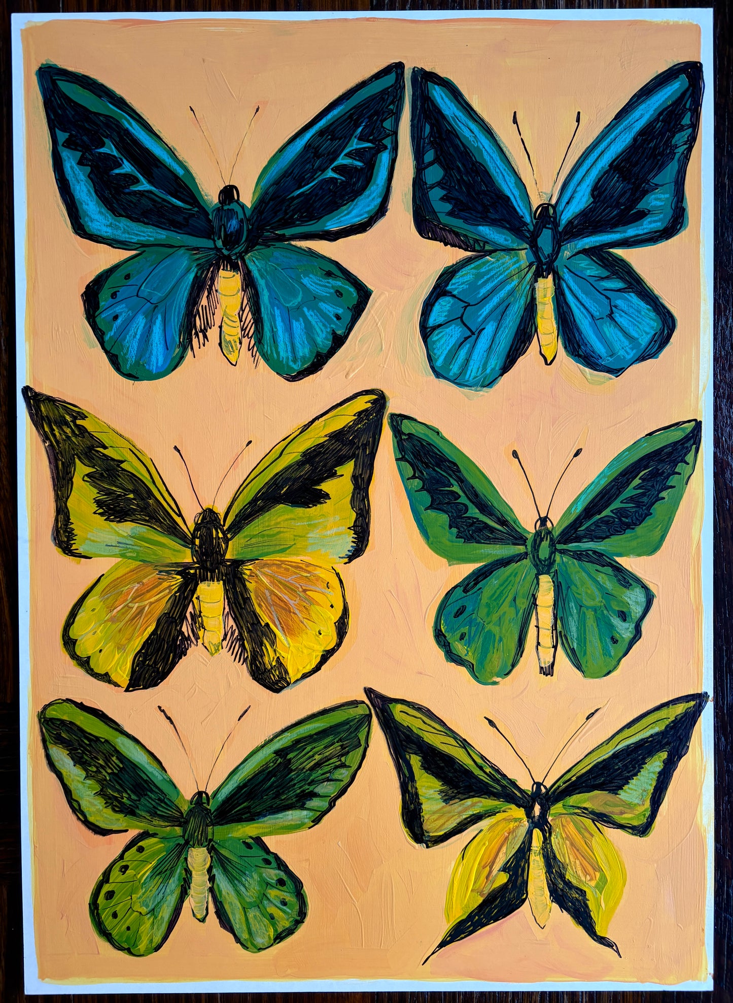 Birdwings
