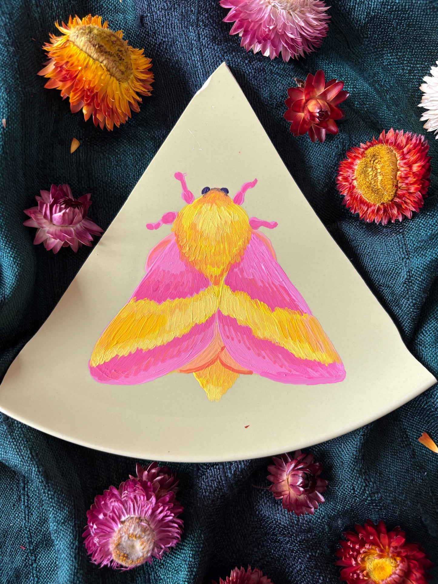 Rosy maple moth