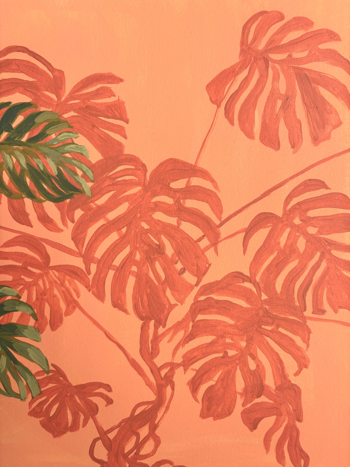Peach Monstera