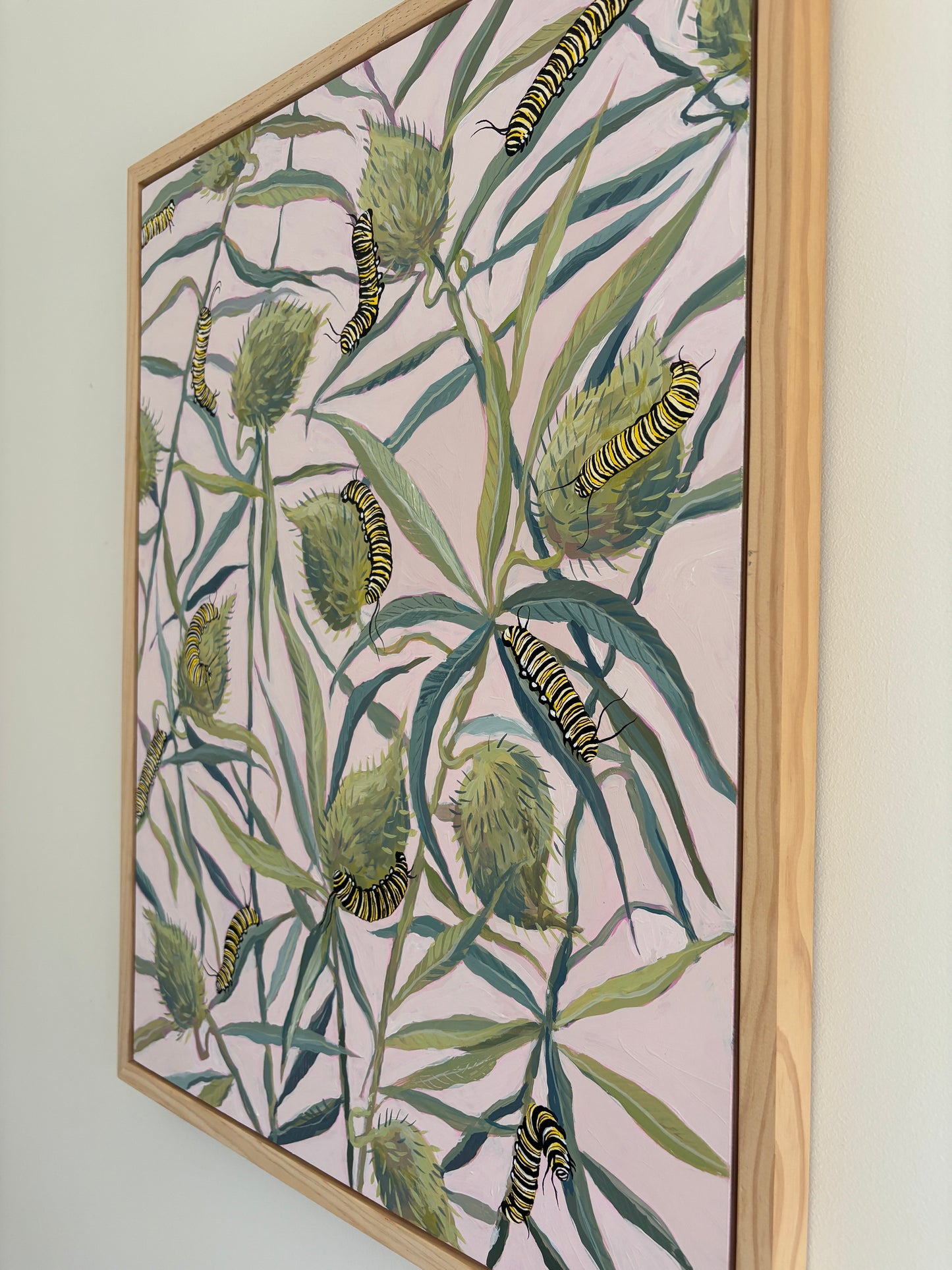 Monarch Mania