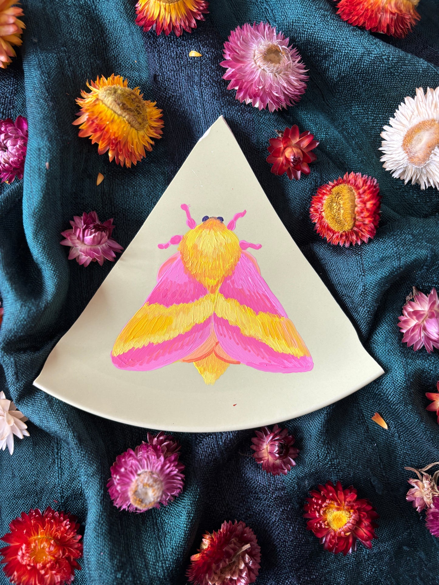 Rosy maple moth