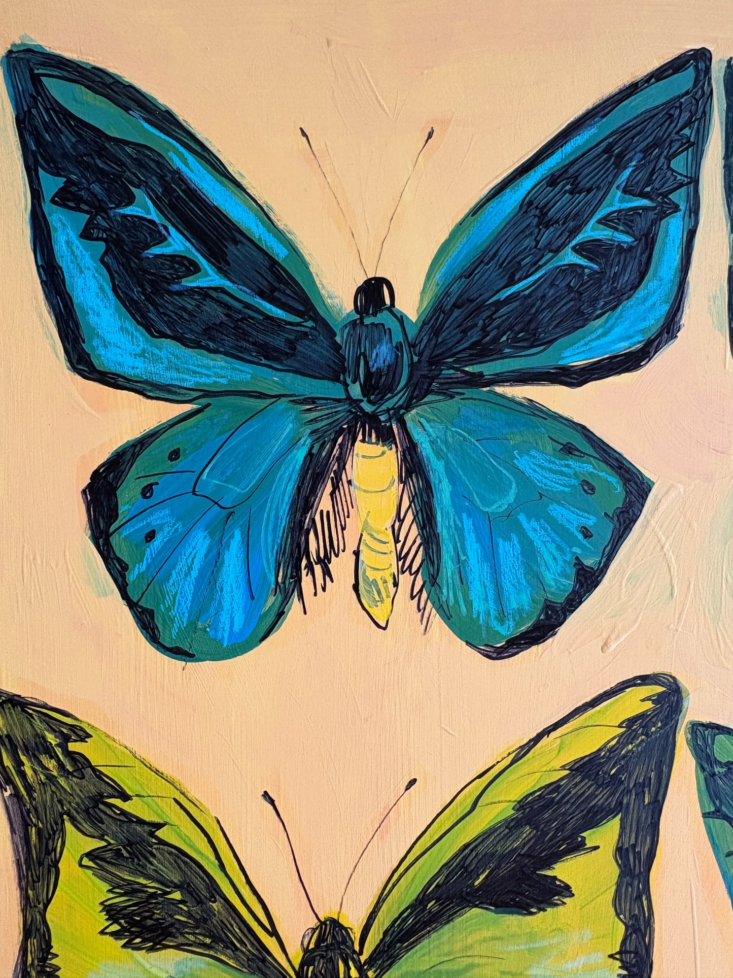 Birdwings