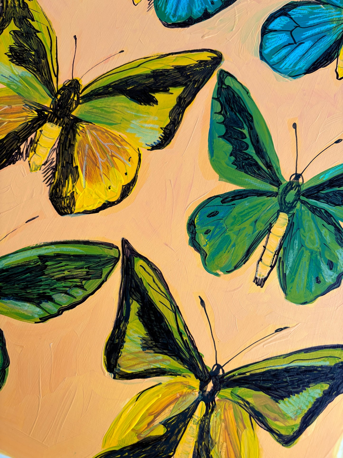 Birdwings