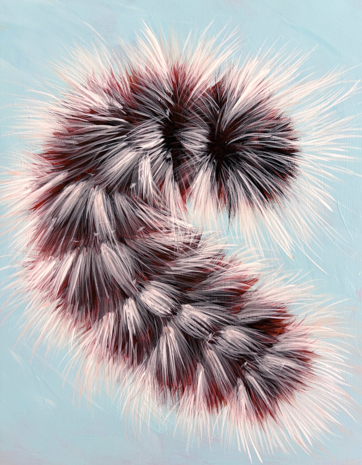 Hairy Mary