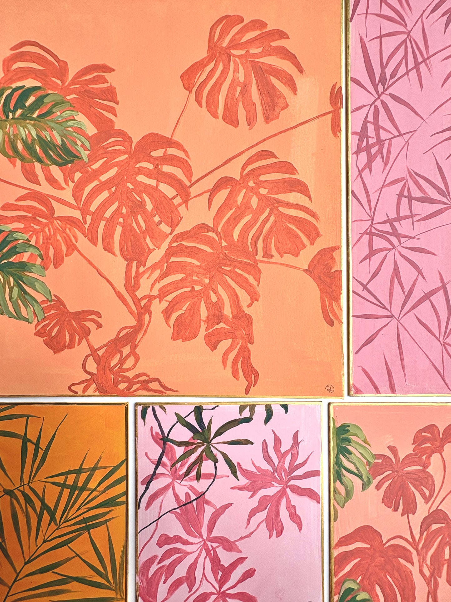 Ferns on orange wall