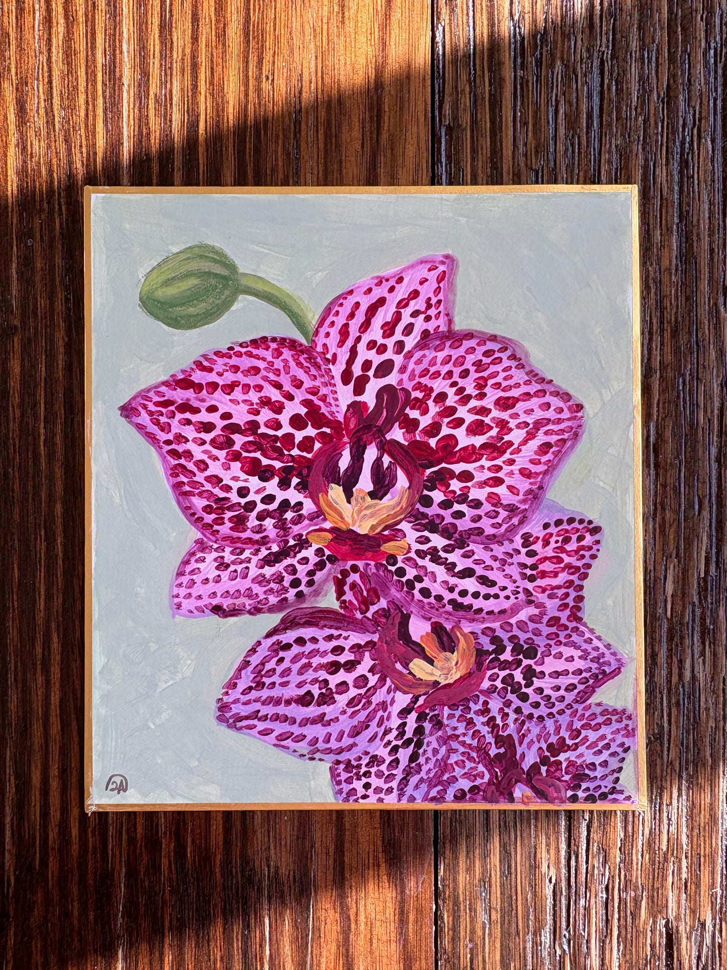 Orchids