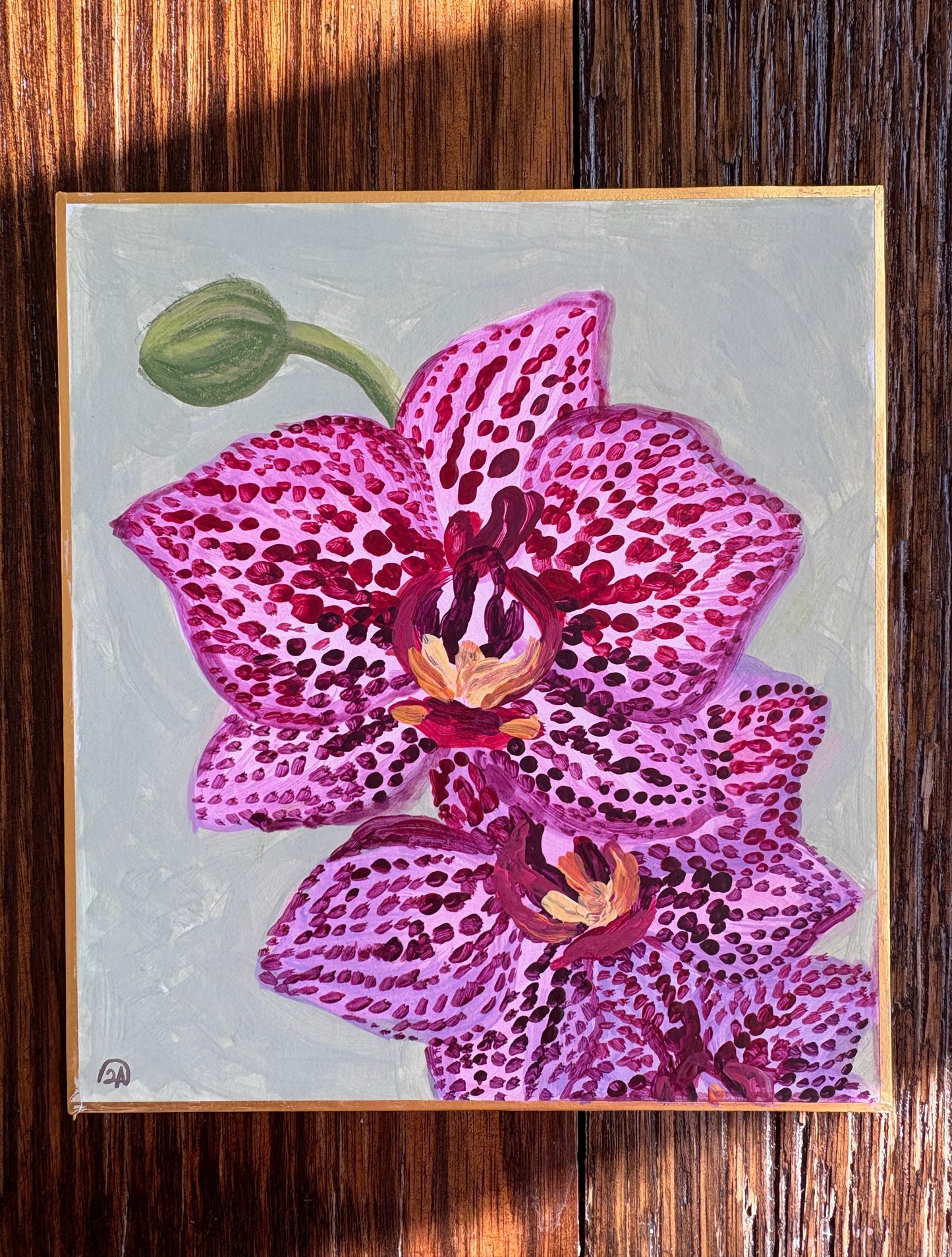 Orchids