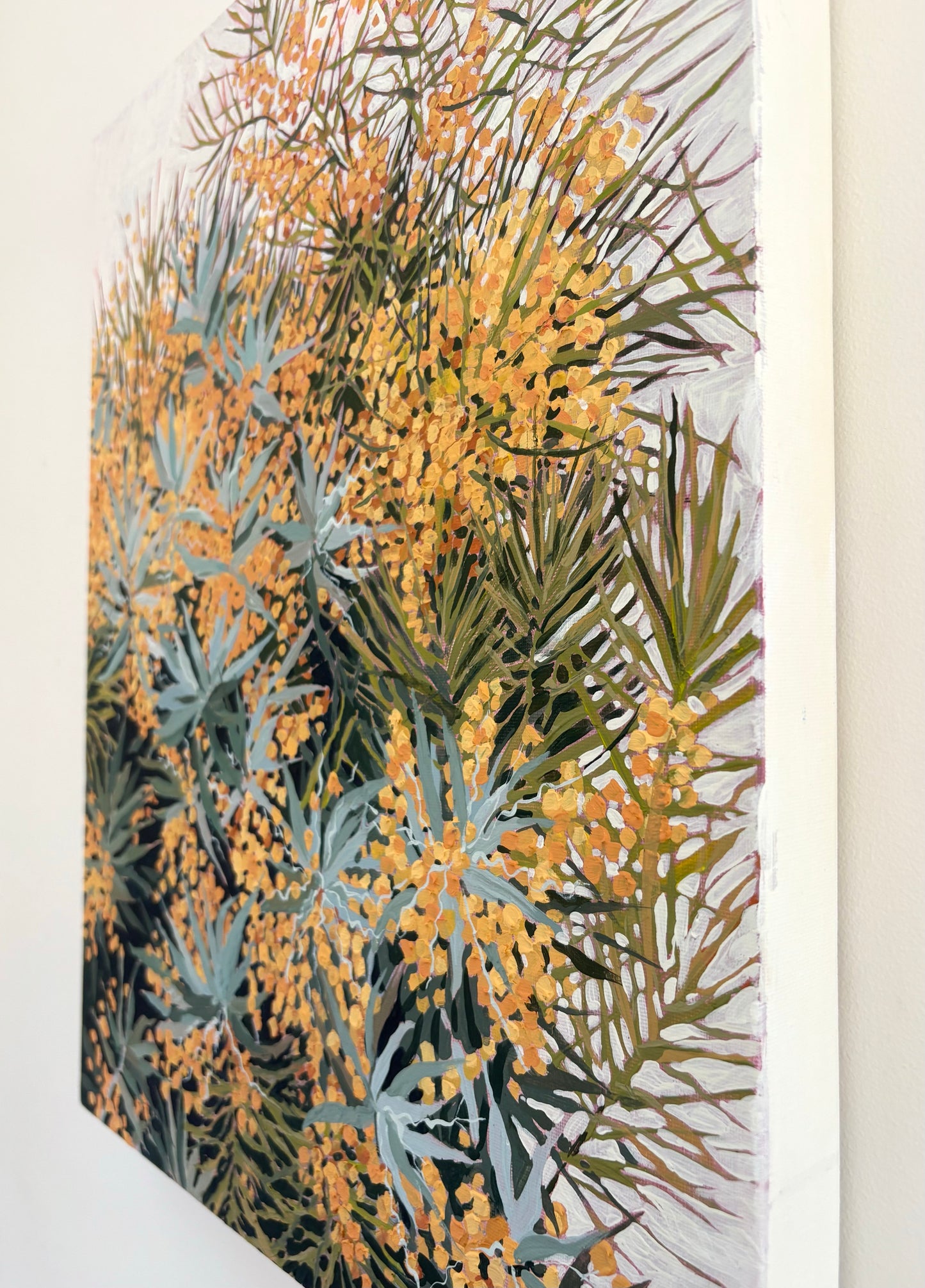 Wattle Dreams