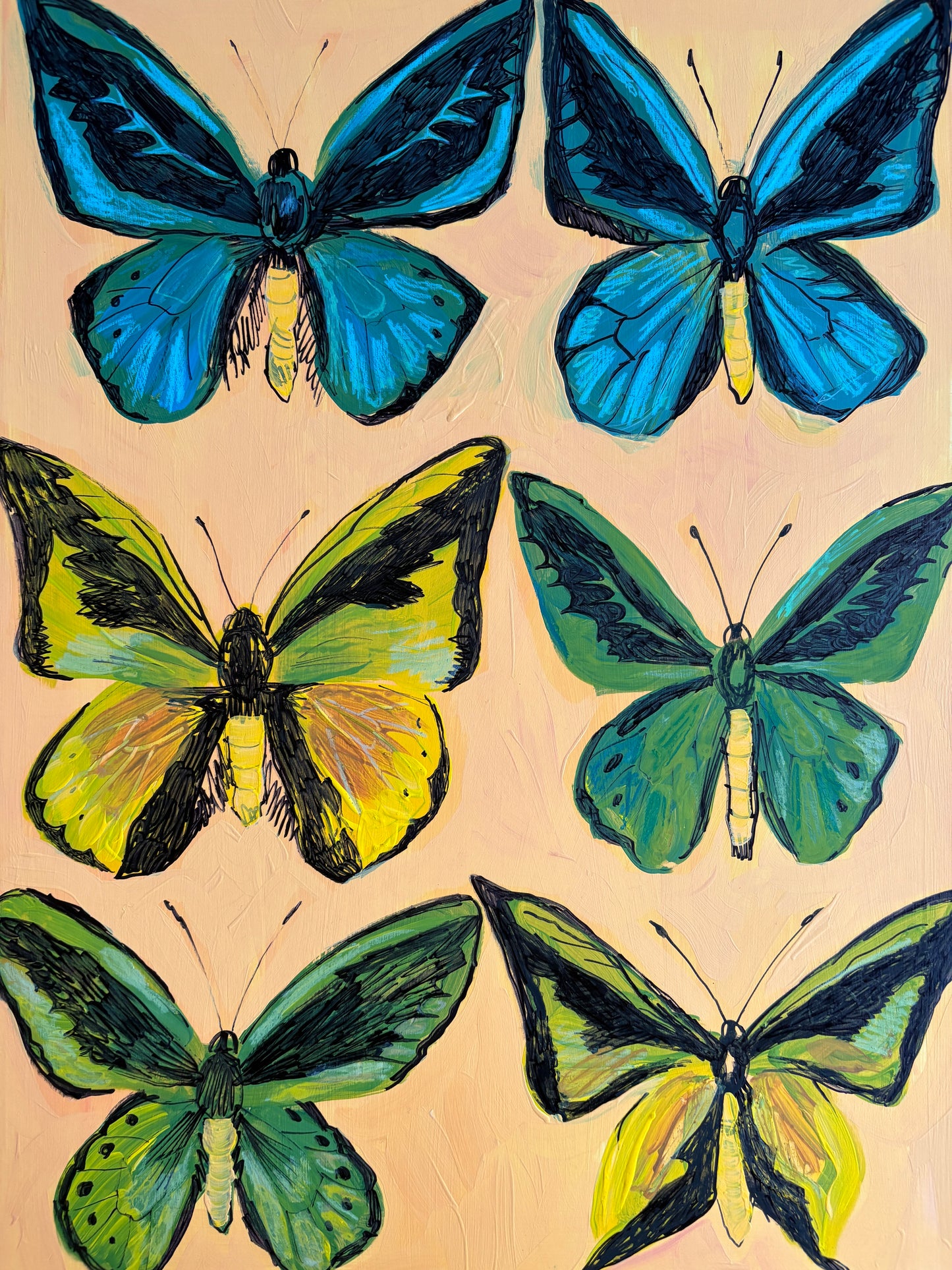 Birdwings