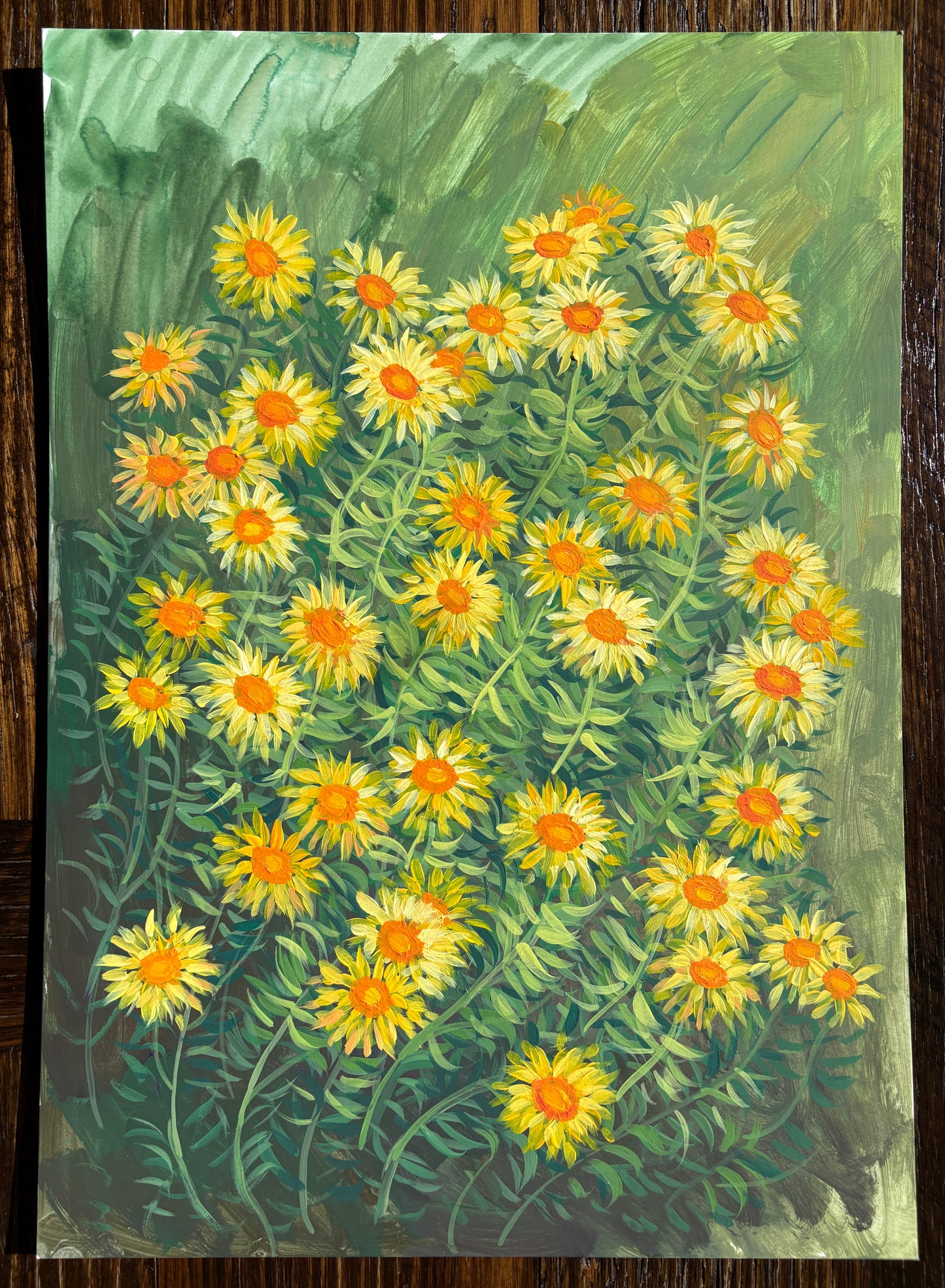 Forever daisies