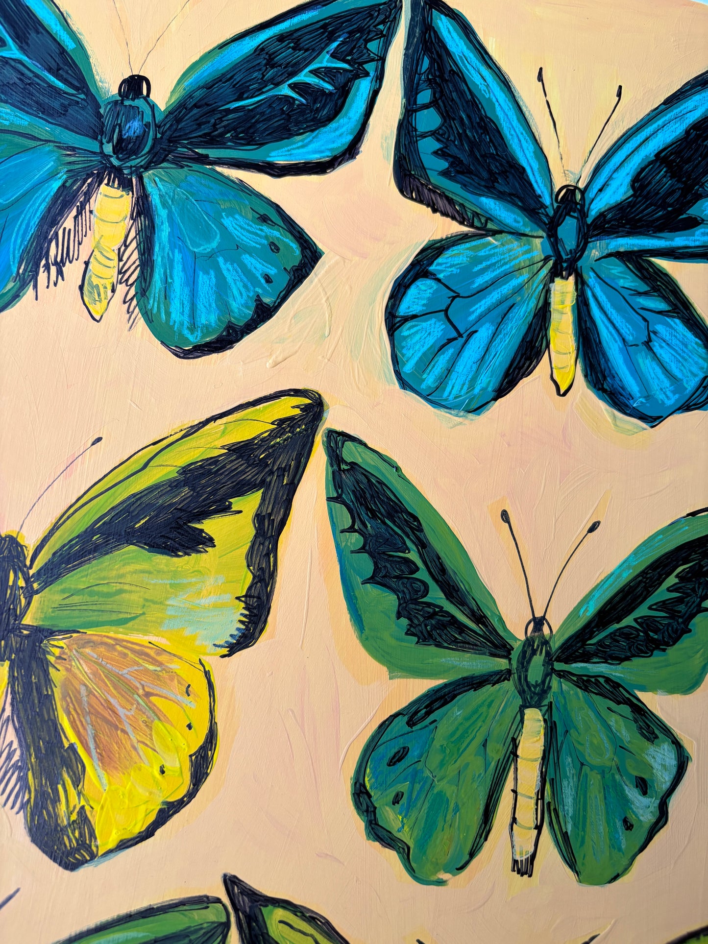 Birdwings